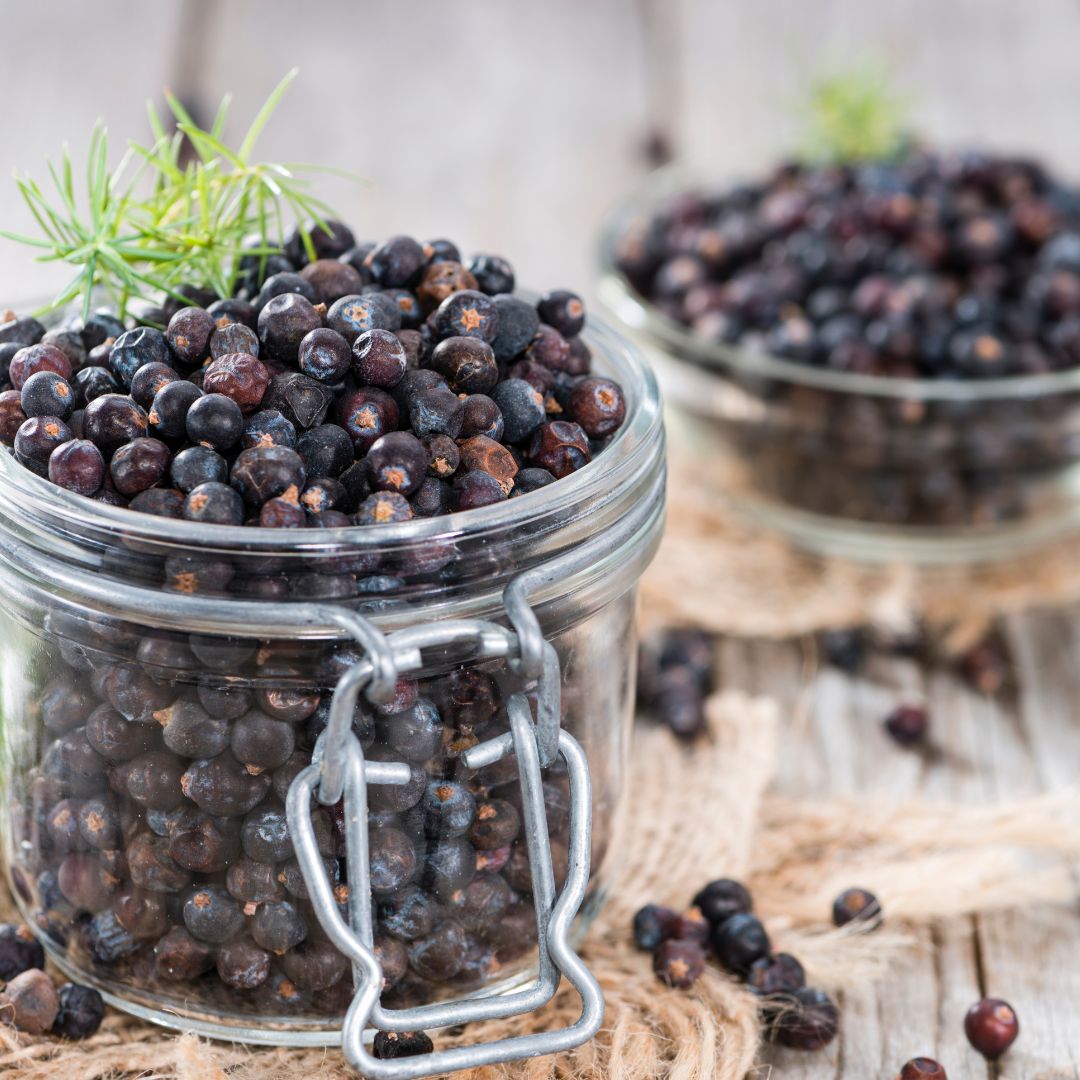 Where Global Markets Meet the Finest Juniper Berries