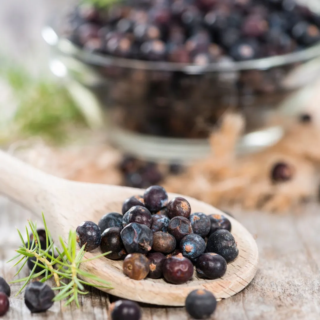 Wholesale dried juniper berries