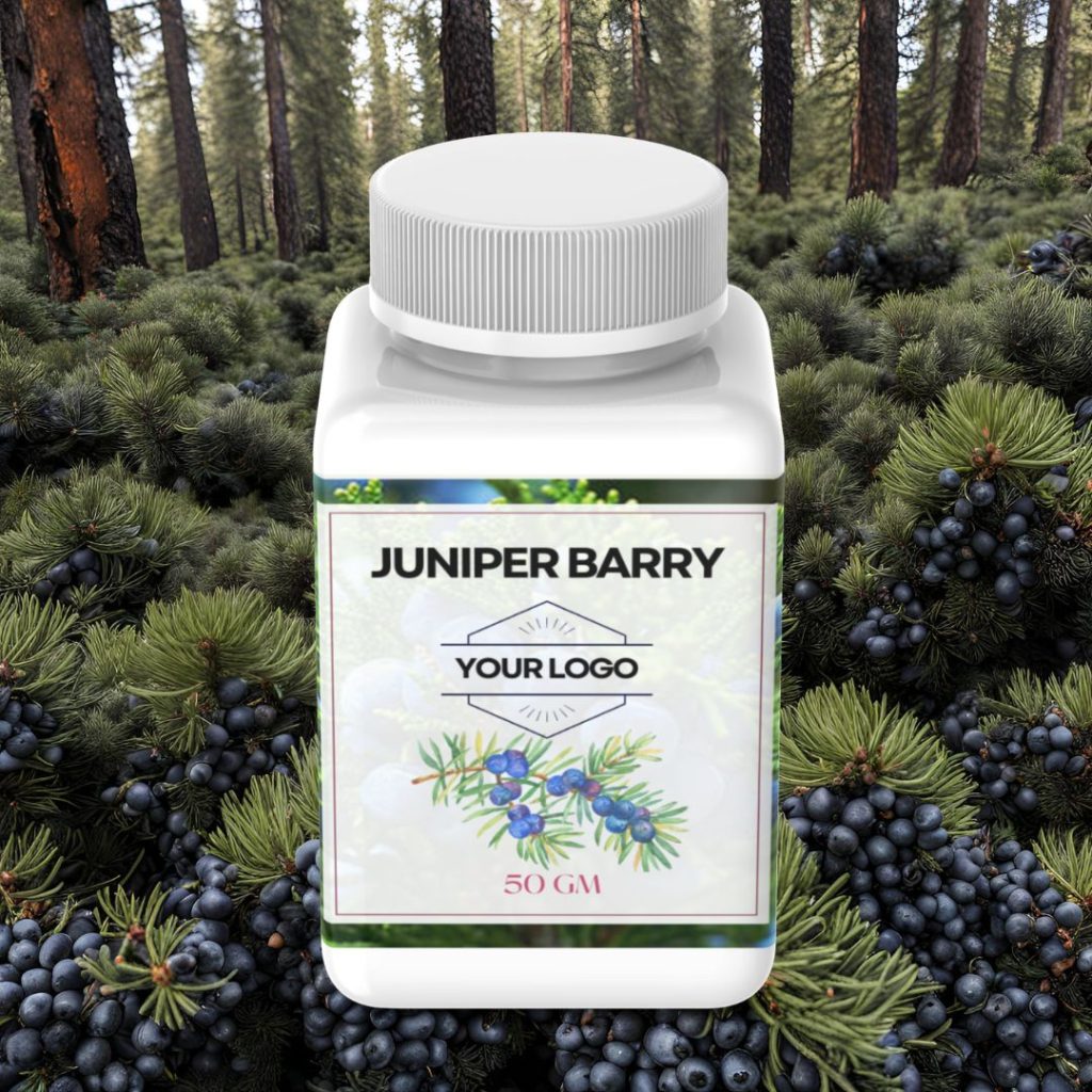 High-quality juniper berries for private label packaging at Juniper Berry Wholesaler