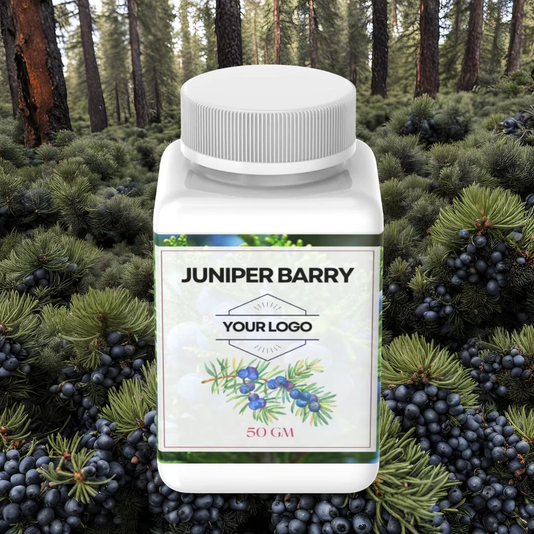 High-quality juniper berries for private label packaging at Juniper Berry Wholesaler