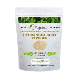 Organic hydrangea root powder in glass jar with spoon